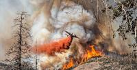 California burns again: The wildfires Mike Davis warned us about