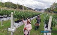 Business : 6,781 Households Benefit From Peopleâ€™s Income Initiative As At August 2026