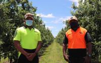 Landmark New Zealand Court ruling protects Tongan workers from illegal overseas recruitment fees