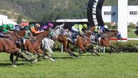 New Zealand’s sole Melbourne Cup contender Manzor Blue may take detour today
