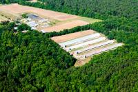Maryland fund to deal with CAFO manure wastes taxpayer dollars while pollution persists, report alleges