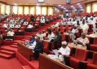 Senate confirms ex- sports minister Ndanusa as ambassador-designate