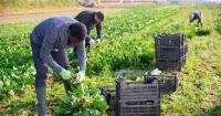 Business skills: The missing link in agriculture