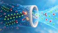 Scientists Built a Membrane That Breaks Down ‘Forever Chemicals’ Instead of Just Trapping Them