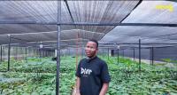 Australian investor builds largest climate-smart snail farm in Ghana