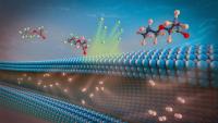 Scientists develop technology to destroy ‘forever chemicals’ in water