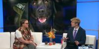 South Dakota Service Dogs Previews Paws & Pearls Gala to Support Veterans and First Responders