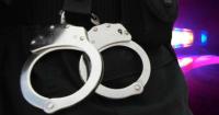 Dunedin man arrested after fraudulently charging $20K on woman's credit card: LPD