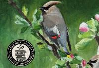 “The Art of Flight” exhibit and fundraiser starts this weekend