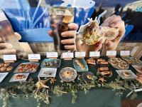 First edition of Mazarron food route crowns the public’s favourite marinera tapa