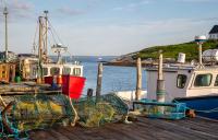 Two Nova Scotia seafood companies charged with buying illegally harvested lobsters