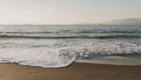 65-year-old woman killed in shark attack off South Africa; two beaches closed