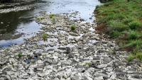 Slovakia Approves Priorities To Tackle Drought And Water Shortages