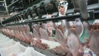 Japan resumes imports of Ukrainian poultry after five-year restrictions