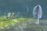 Animals May Have Evolved 200 Million Years Earlier Than We Thought