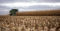 War made planting difficult. Now it could boost farmers’ profits
