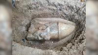 Backyard find: Egyptian farmer unearths statue fragments  believed to depict Ramesses II