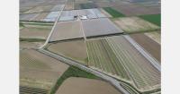 Greek baby leaf vegetable grower secures investment for greenhouse expansion