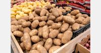 Moldovan potato prices rise as harvest volumes fall 10–20%