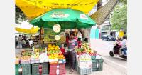 India-New Zealand trade agreement takes effect, reducing kiwifruit tariffs
