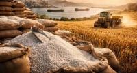 After oil, fertilizers: how the Hormuz crisis threatens global harvests