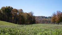 New York State awards $48 million to farms to protect farmland