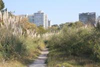 Urban grasslands of the AMBA: key ecosystems for biodiversity and climate change adaptation