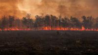Global warming is accelerating: report