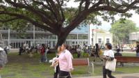 University of Hawaiʻi expands free Microsoft 365 access at all 10 campuses
