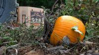 Farmers working to finish their last harvests and clear fields as fall continues