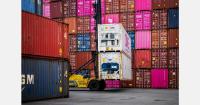 Fruit and vegetable volumes rise 7.6% at Port of Antwerp-Bruges