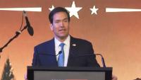 India-US alignment 'extraordinary', can shape 21st century: Rubio
