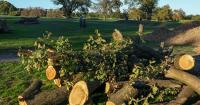 Trump posts photos of 'trash island' D.C. golf course after court hearing