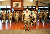 Illinois Army National Guard Activates 217th Military Intelligence Battalion