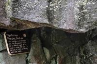 Mysterious 80-Ton Hanging Boulder Has Been a Park Attraction Since 1922. After 104 Years, It Finally Collapsed