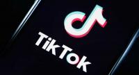 Driver arrested after viral assault on female TikToker in Lahore