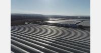 Russian tax authorities seek bankruptcy of 580 ha greenhouse group EKO-kultura