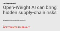 Open-Weight AI can bring hidden supply-chain risks