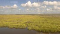 Rising sea levels threaten New Orleans, but are claims overblown?