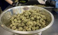 State says Missouri’s marijuana market is competitive. But who owns it?