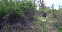 Delaware County voters to decide on $120 million open space borrowing proposal