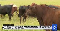 DECISION 2026: Three proposed amendments on Georgia ballot