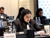 Doha to remain destination for addressing issues through dialogue: Al Misnad