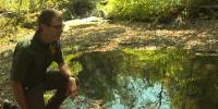 Fall is an active time of year for Vermont’s aquatic wildlife