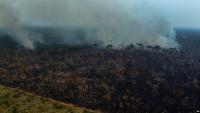 Amazon Clear-Cutting Falls to a Record Low, but Fires Satellites Miss Are Burning Forests Already Scarred in 2015 and 2023