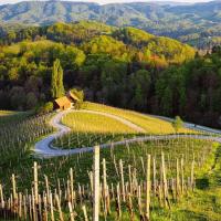 Europe's best wine region has been crowned for 2027 – and it's not where you'd expect