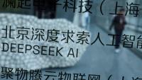 China Criticizes U.S. Ban on DeepSeek A.I. in Government Systems