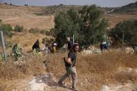 UK defence bosses’ homes targeted by pro Palestinian group