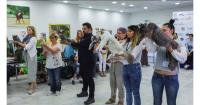 CAT EXPO Greece 2026 brings the world of cats to Athens