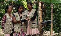 Delegates at biodiversity COP17 should follow the lead of Global South women (commentary)